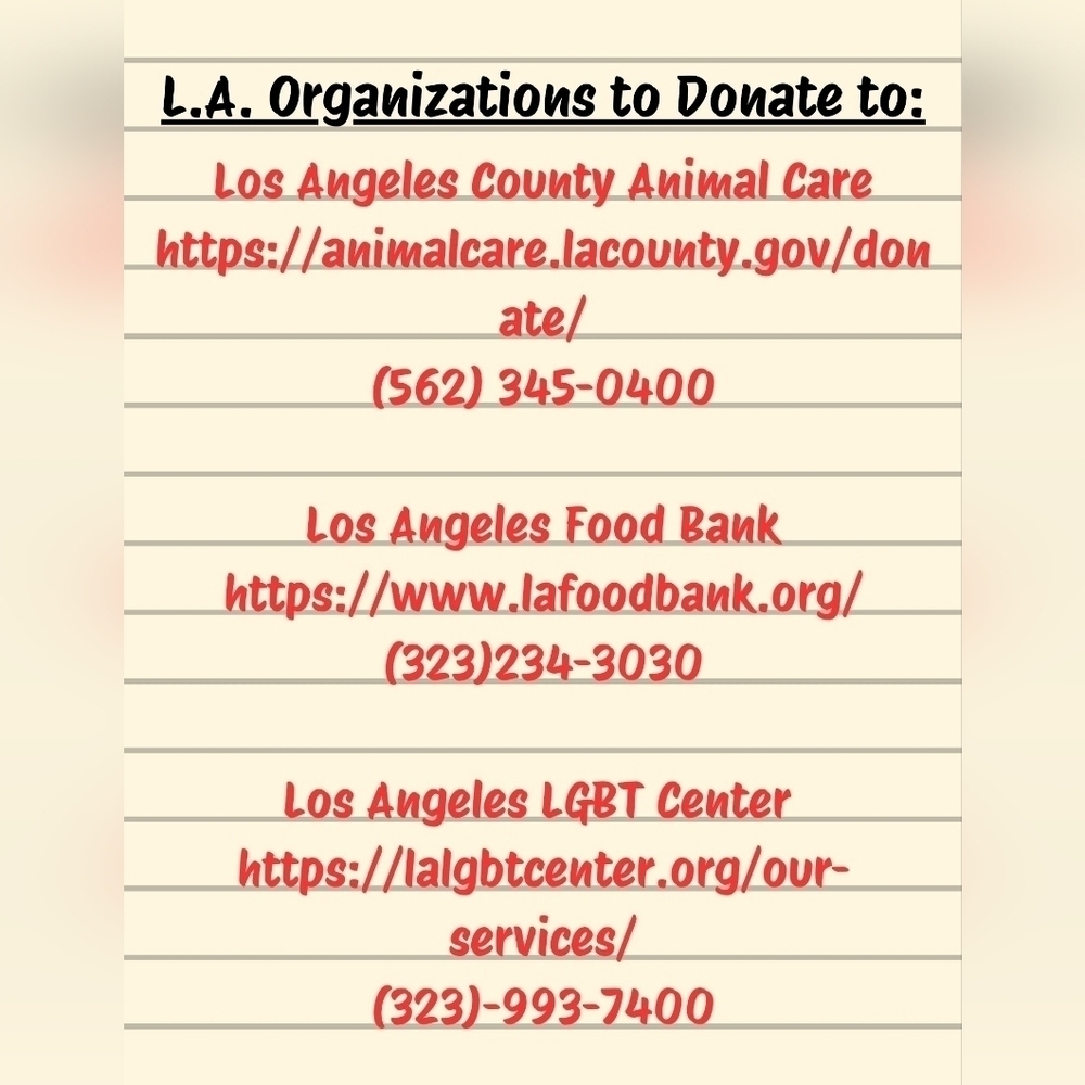 Los Angeles Organizations to Donate to for Fire Relief